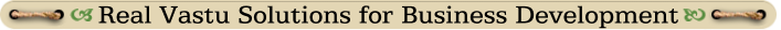 Real Vastu Solutions for Business Development