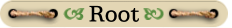 Root